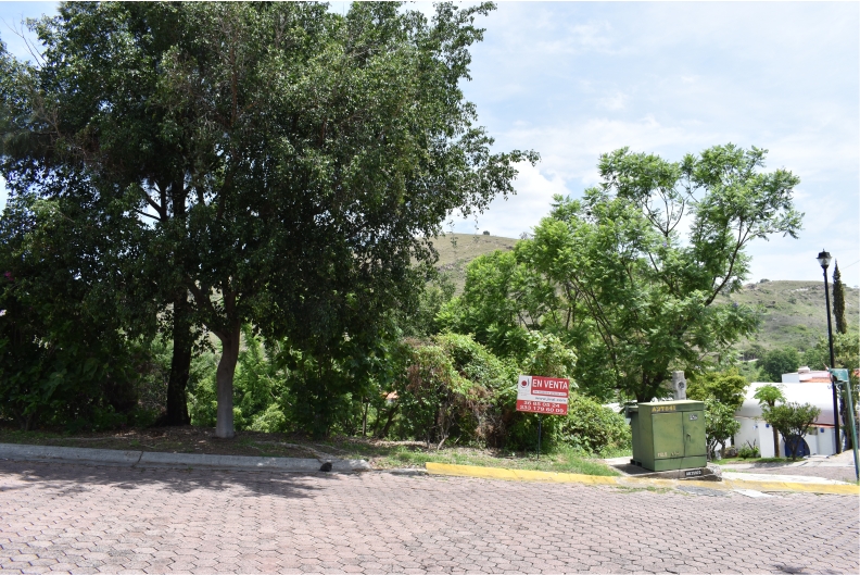 Galería de HERMOSO TERRENO EN EL COTO LA NORIA