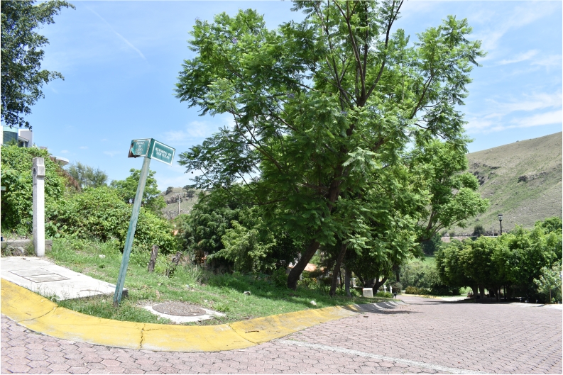 Galería de HERMOSO TERRENO EN EL COTO LA NORIA