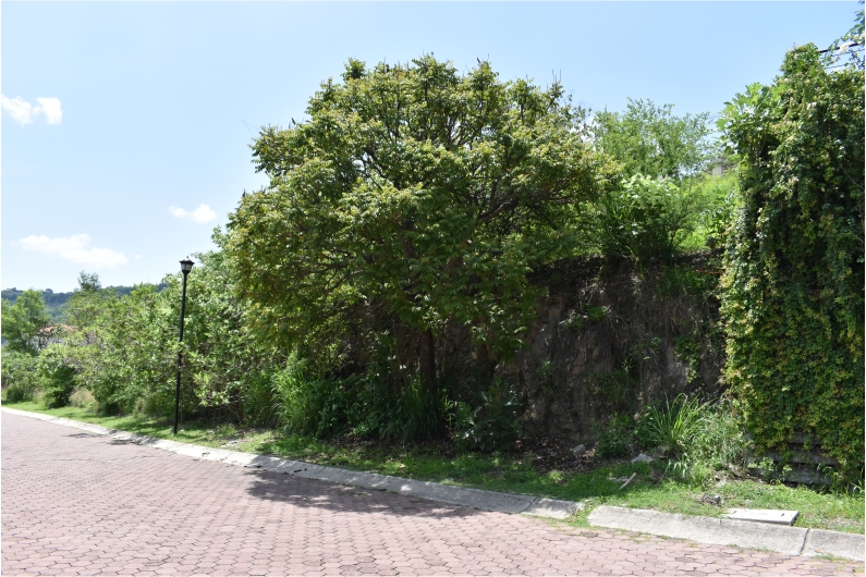 Galería de LA NORIA: BELLO TERRENO EN LAS CAÑADAS