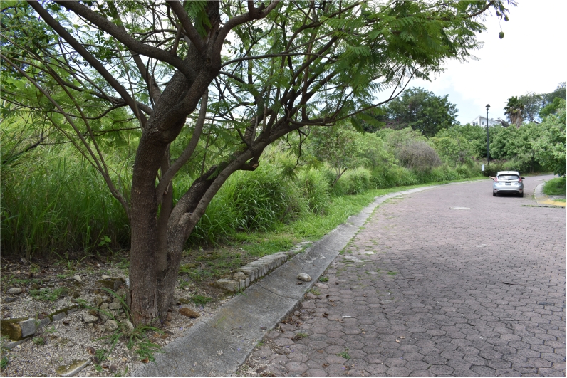 Galería de LA NORIA: TERRENO CON GRAN UBICACIÓN