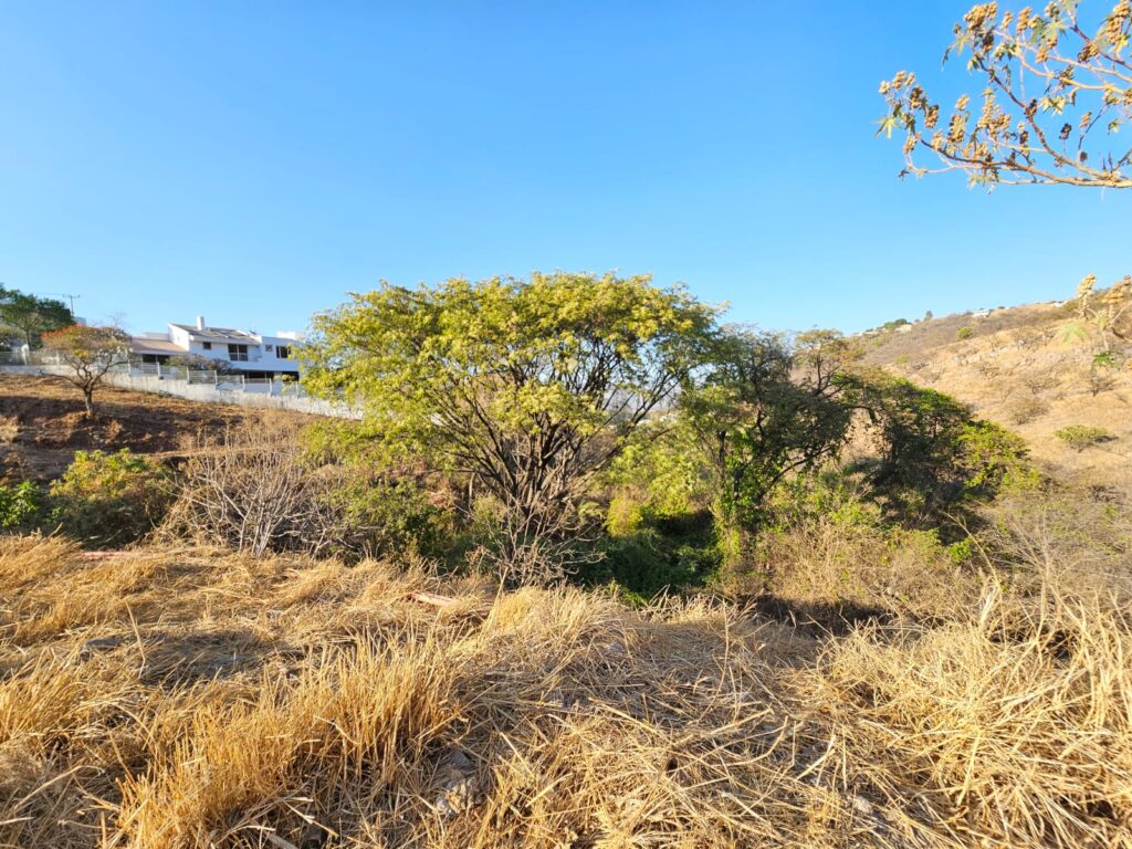 Galería de LAS CAÑADAS LOTE EN VENTA CON INCREIBLE VISTA Y BUENA UBICACION