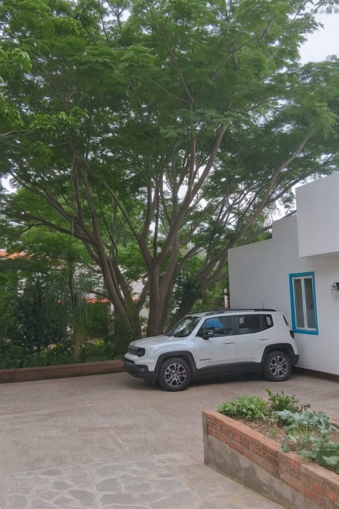 Galería de Las Cañadas Casa en Venta Seminueva de Una Sola Planta