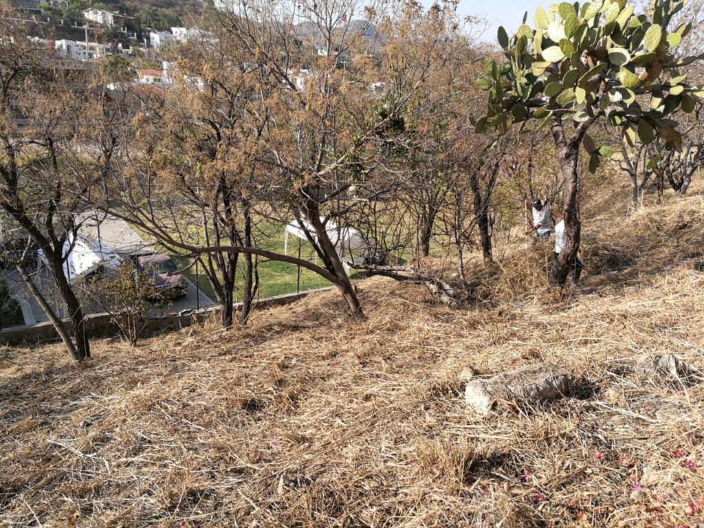 Galería de LAS CAÑADAS TERRENO EN VENTA FRENTE AL COLEGIO ALEMÁN CON GRAN SUPERFICIE