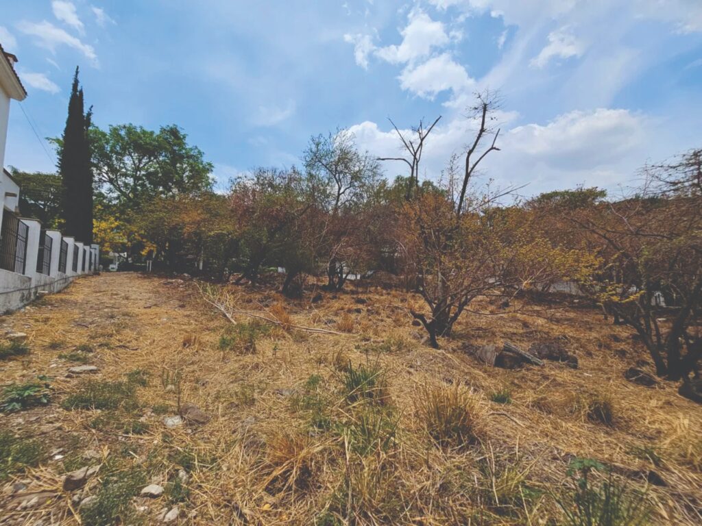 Galería de LAS CAÑADAS LOTE EN VENTA PLANO MUY BIEN UBICADO