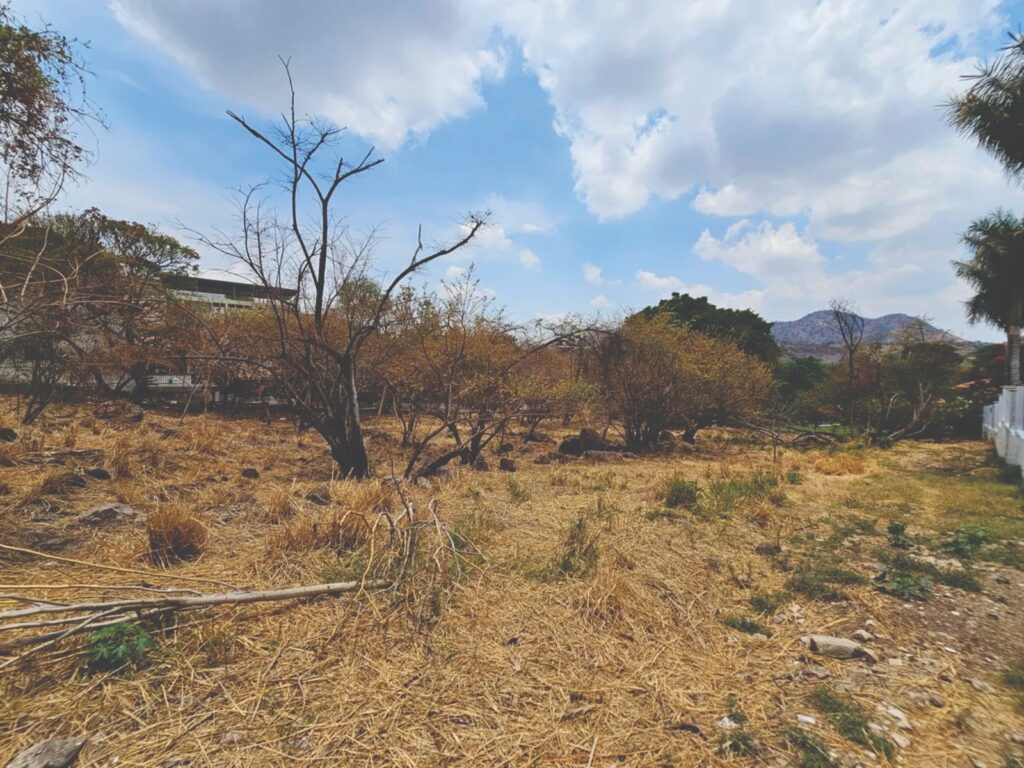 Galería de LAS CAÑADAS LOTE EN VENTA PLANO MUY BIEN UBICADO