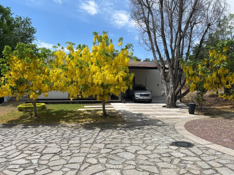 Las Cañadas Casa en Venta de Una Sola Planta en Coto Abedules