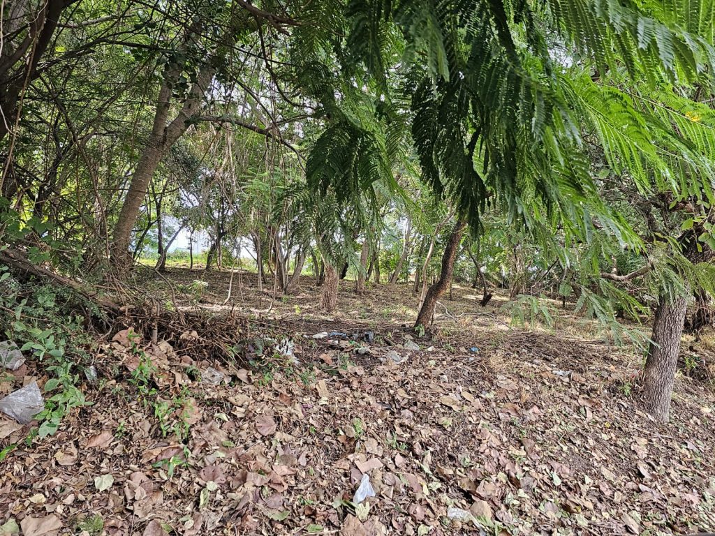 Galería de LAS CAÑADAS LOTE EN VENTA EN ESQUINA SEMIPLANO FRENTE AL TEMPLO CON VISTA